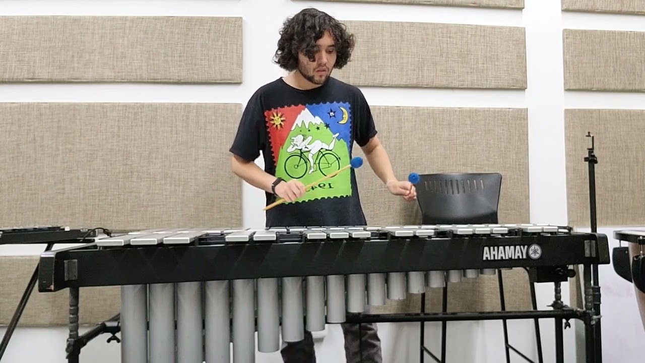 IV Bauernlied/ Famersong (Vibraphone) - N.J Živković