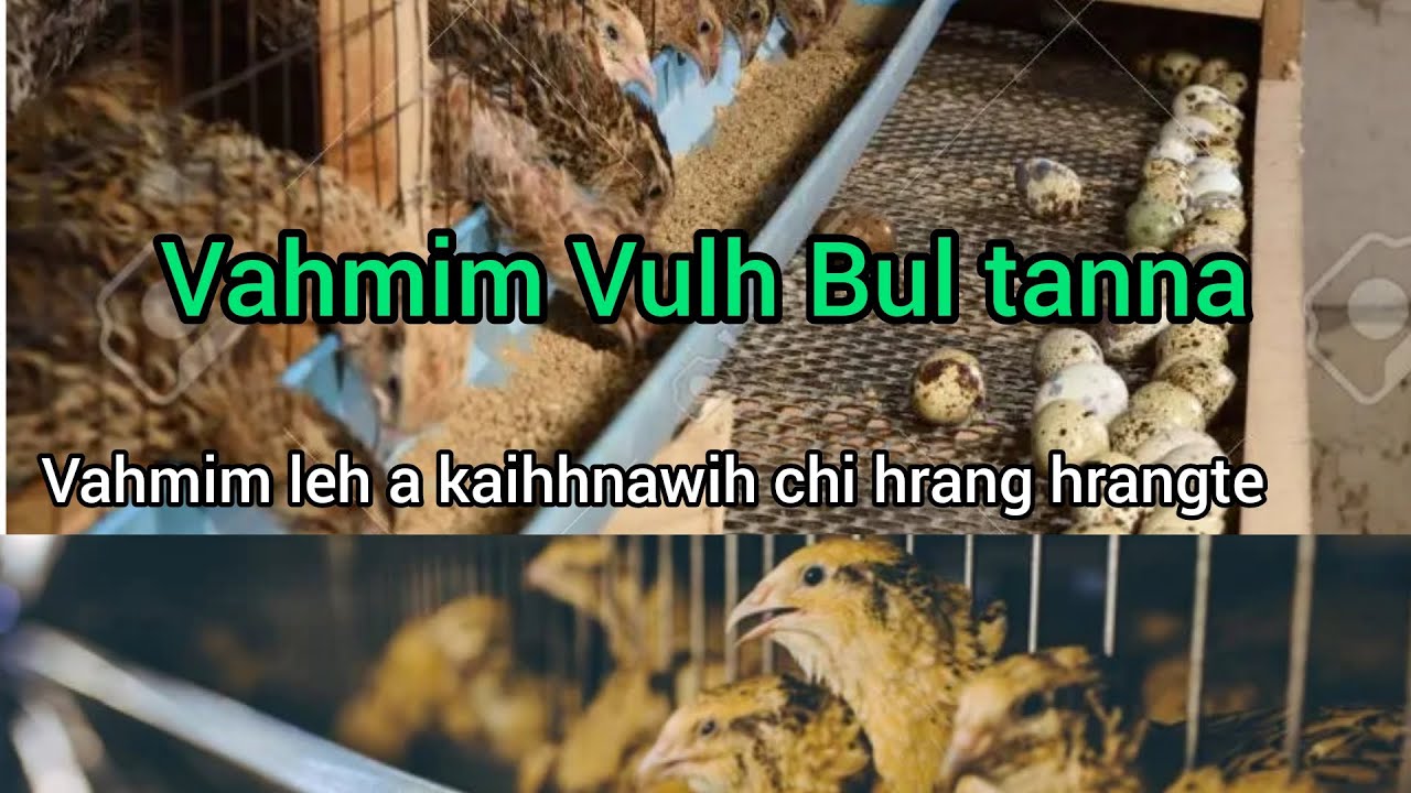 Vahmim vulh bul tanna | Vahmim note enkawl dan tlangpui
