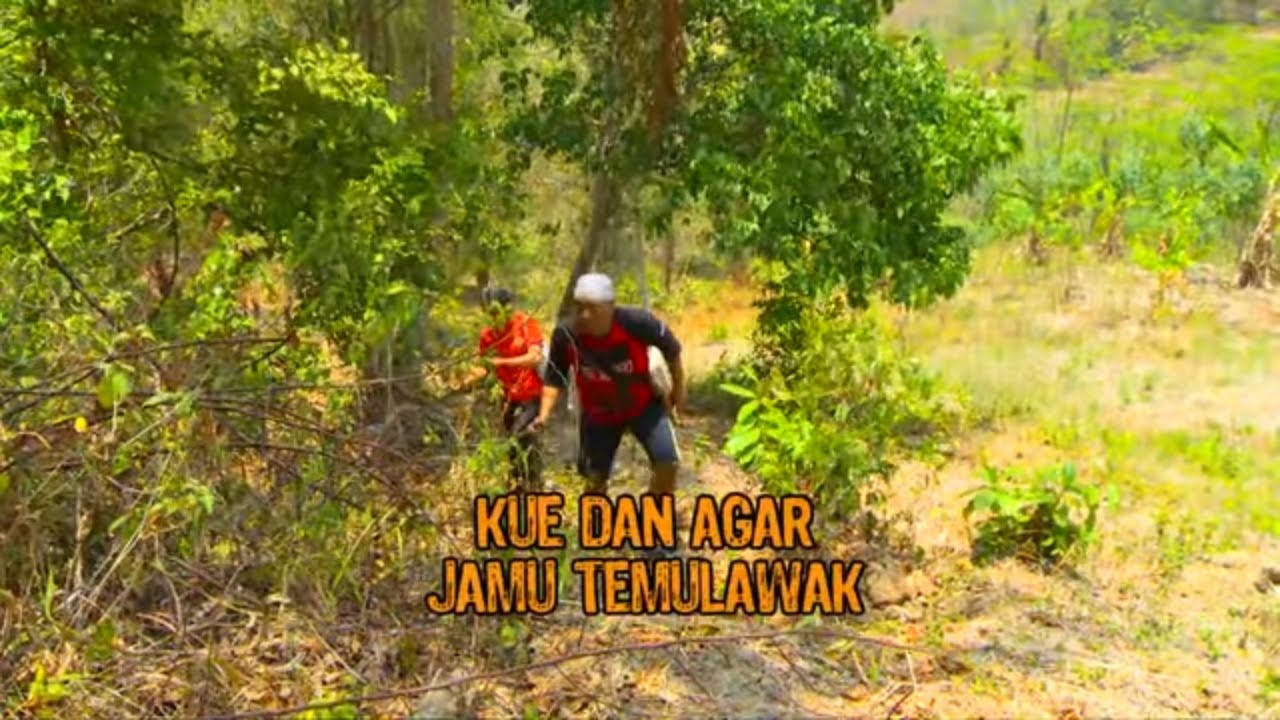KUE DAN AGAR TEMULAWAK | JEJAK SI GUNDUL (02/11/21)