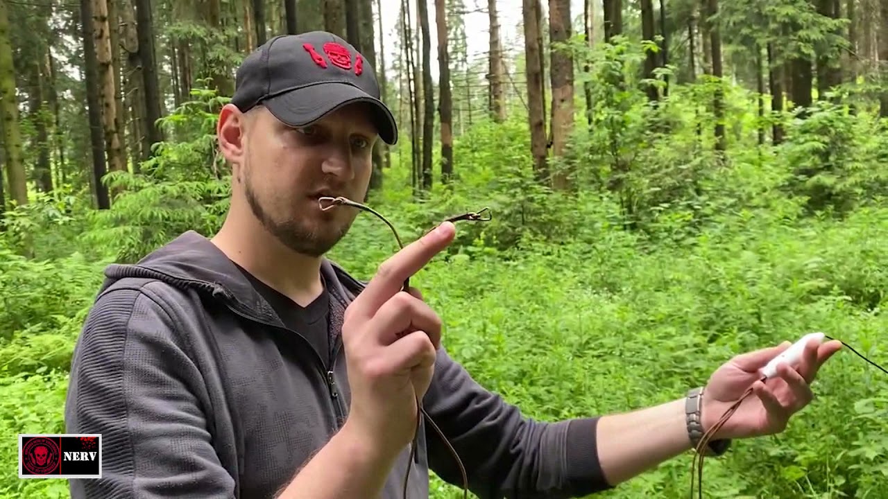 Связной обзор. Цикл 