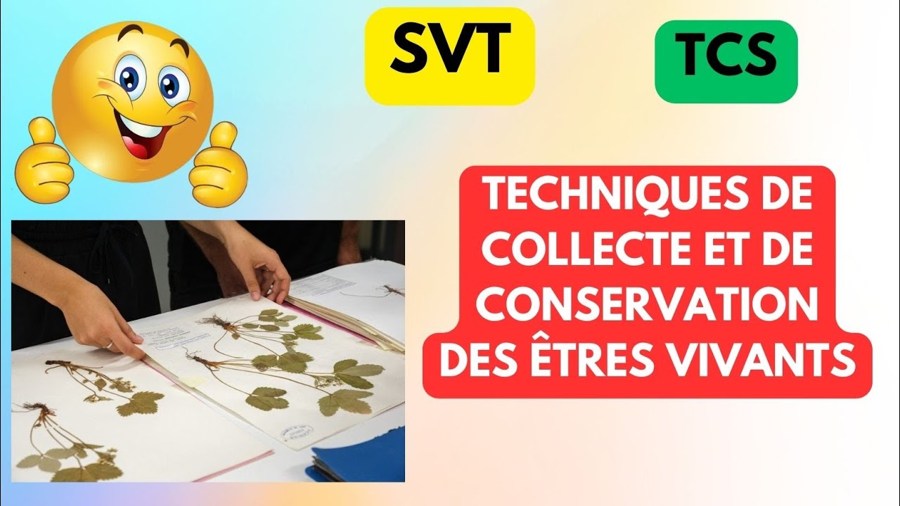 ⭐TCS/SVT/ECOLOGIE⭐:Techniques de collecte et de conservation des êtres vivants