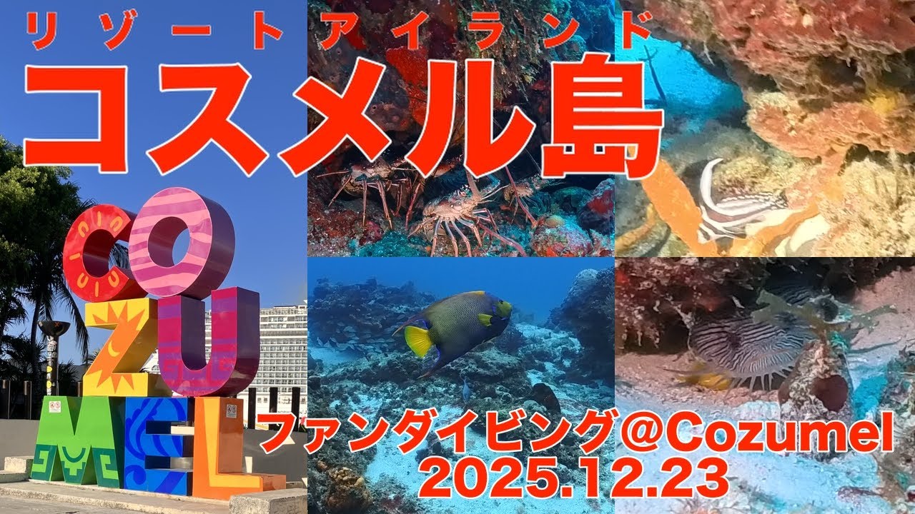 ファンダイビング＠Cozumel（Mexico：Kintana Roo）ダイブNo.340、341　4K