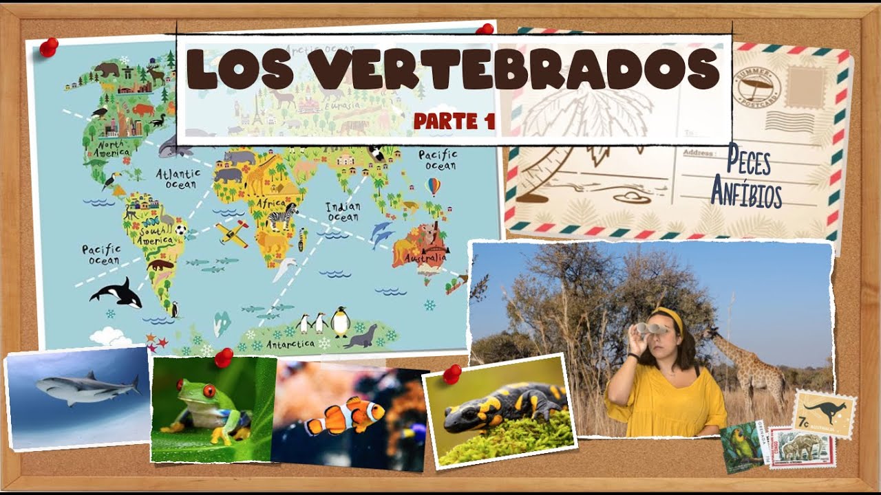 Los animales vertebrados - Parte 1 - Peces y anfibios. Bio[ESO]sfera