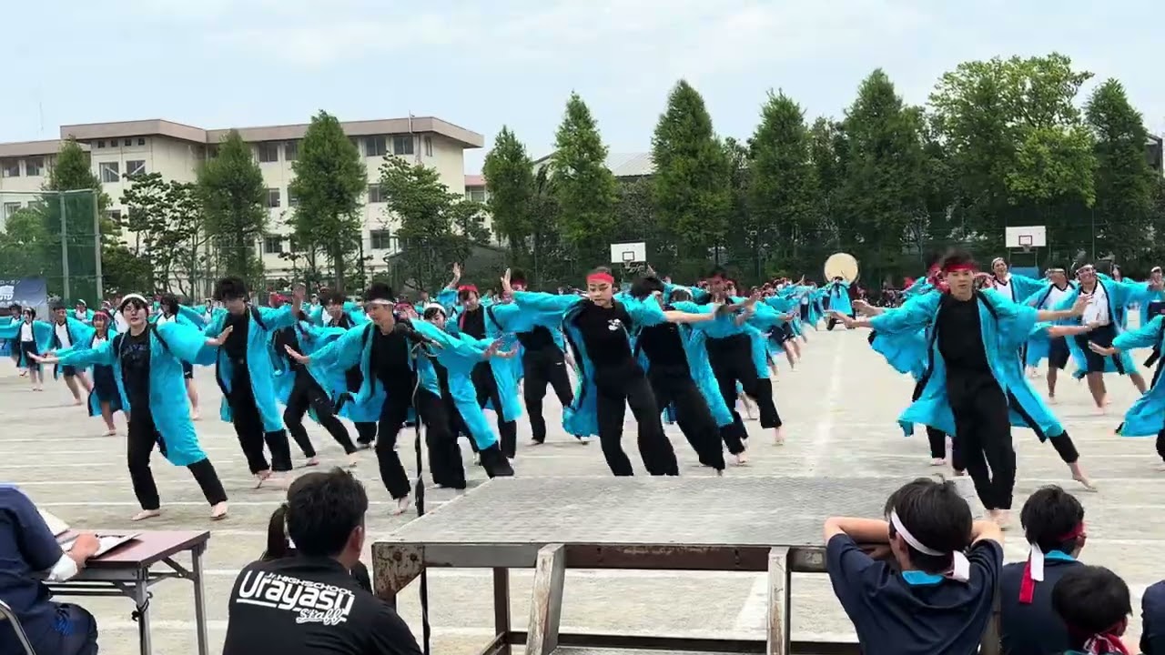 体育祭　ソーラン節