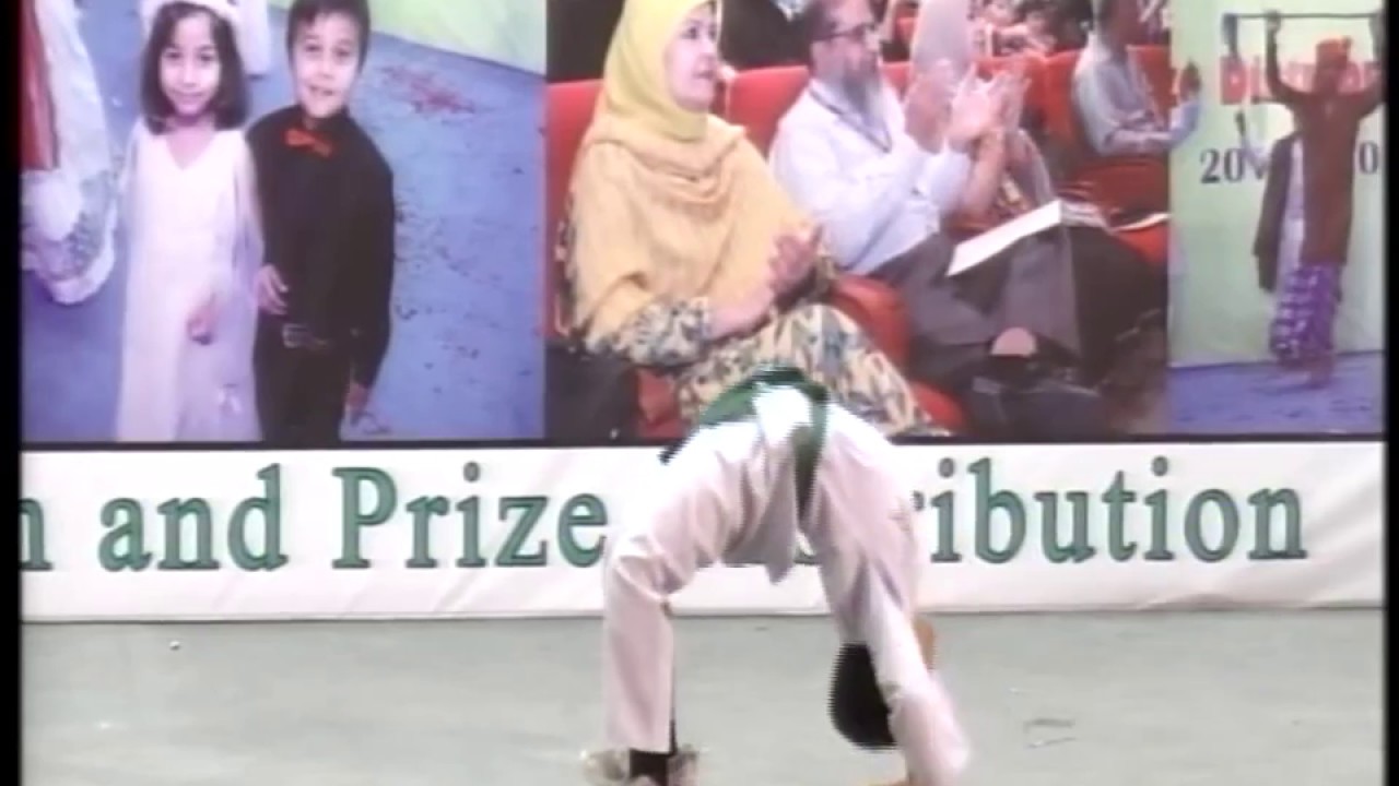PPS Taekwondo Performance