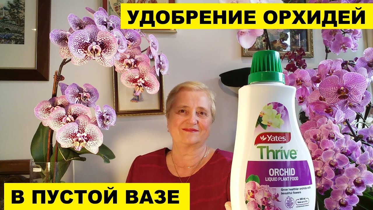 УДОБРЕНИЕ ОРХИДЕЙ В ПУСТОЙ ВАЗЕ..КАК И КОГДА