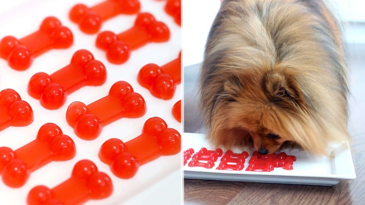 How to Make Gummy Bears FOR DOGS!! | RECIPE