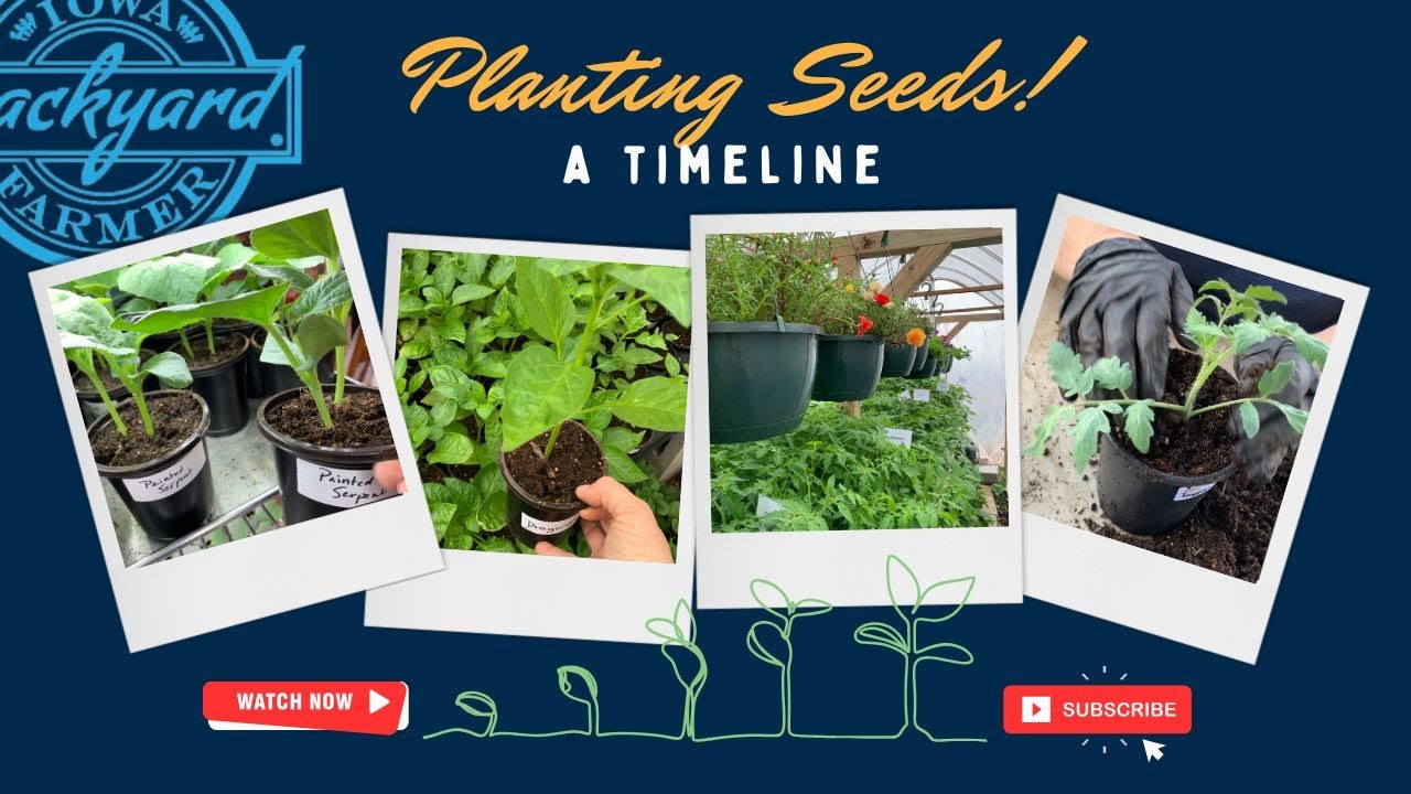 When should I start my seeds?