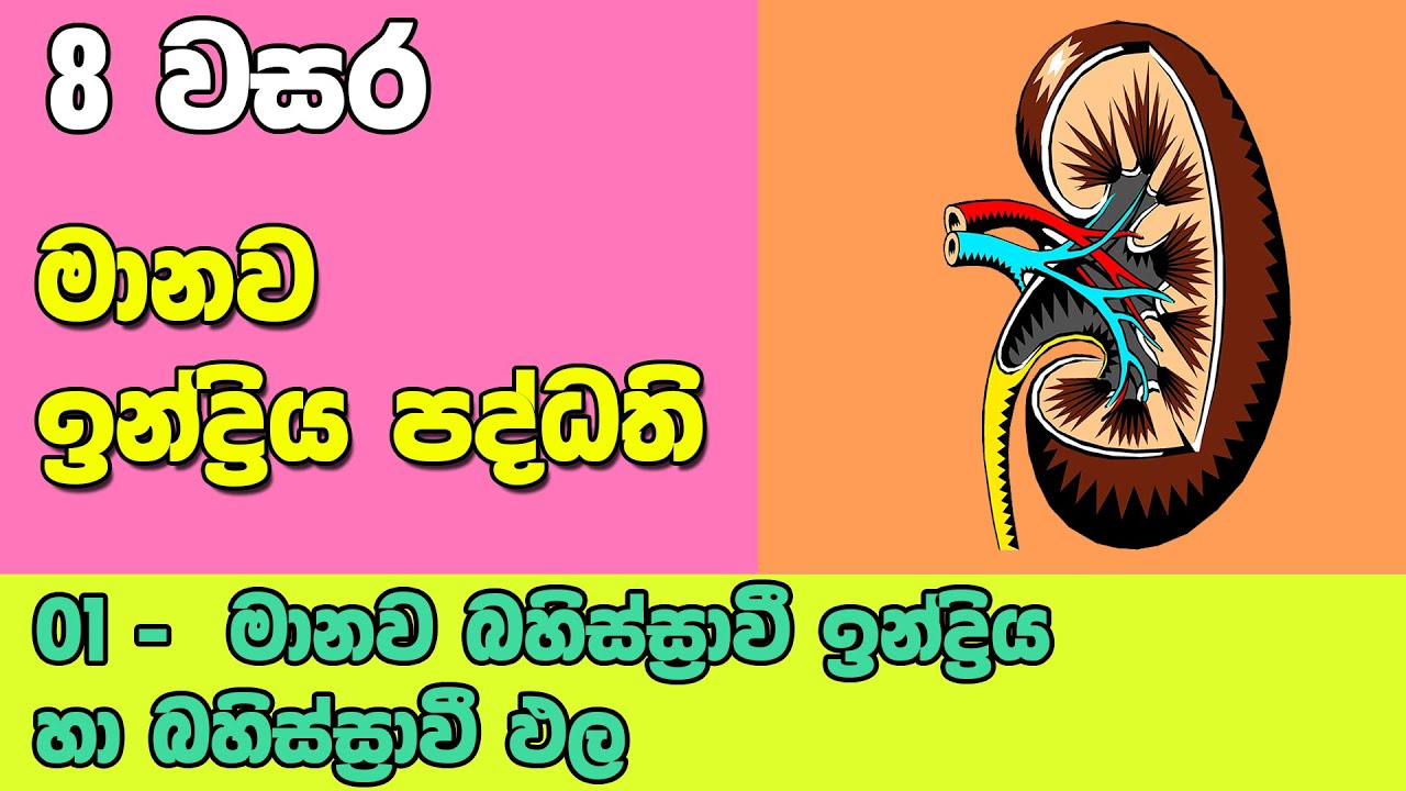 Grade 8 Science Unit 9 Part 1  | Excretory System |  බහිස්ස්‍රාවි ඉන්ද්‍රිය හා බහිස්ස්‍රාවි ඵල