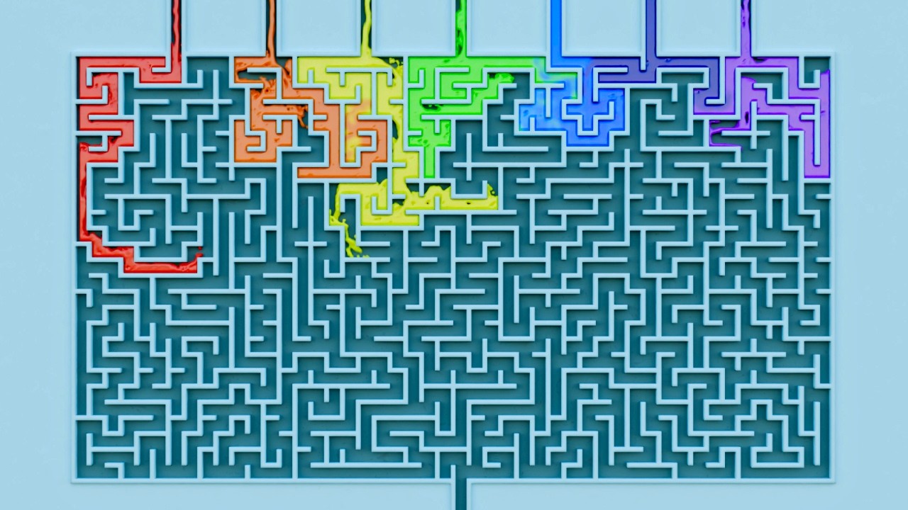 Which Color of the Rainbow Will Solve the Maze First? 🌈