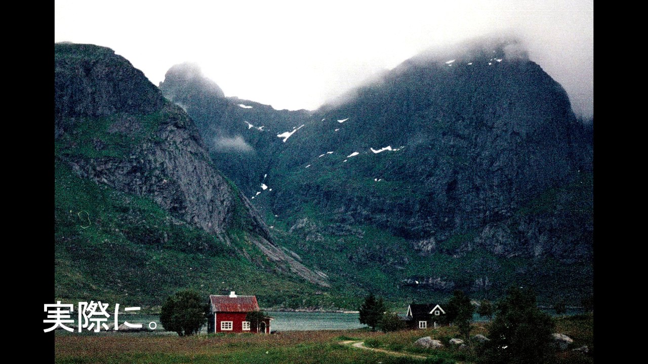 Flamingosis - the guacamole costs extra