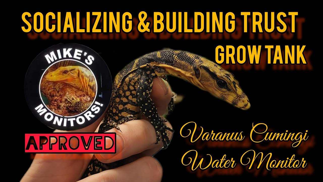DIY Baby Water Monitor Setup & MIKE'S MONITORS Tour @mikesmonitors1148
