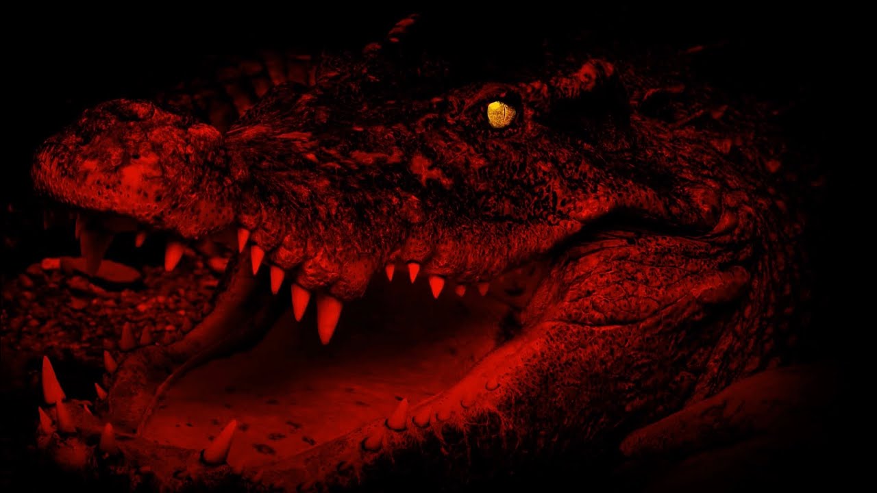 Why Africa Breeds The World’s Most Dangerous Animals...