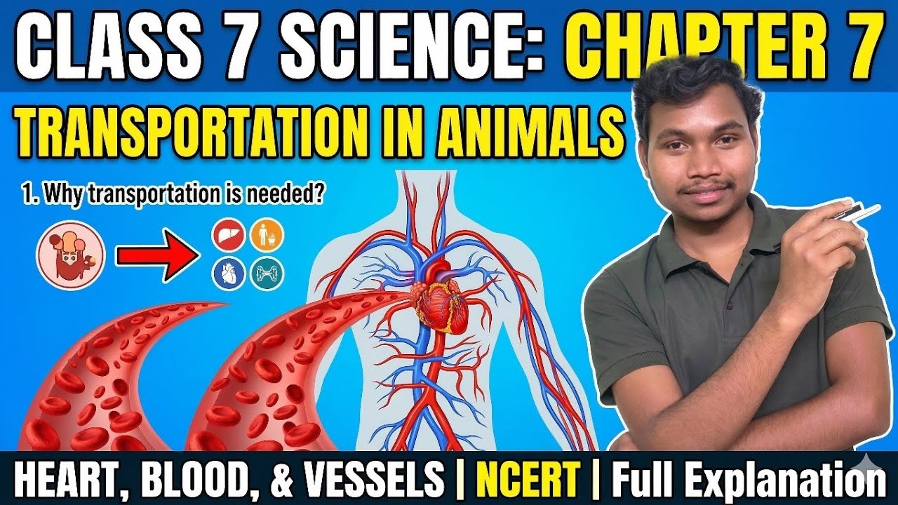 Transportation in Animals||Human Circulatory system||Class 7th Science NCERT||Hindi