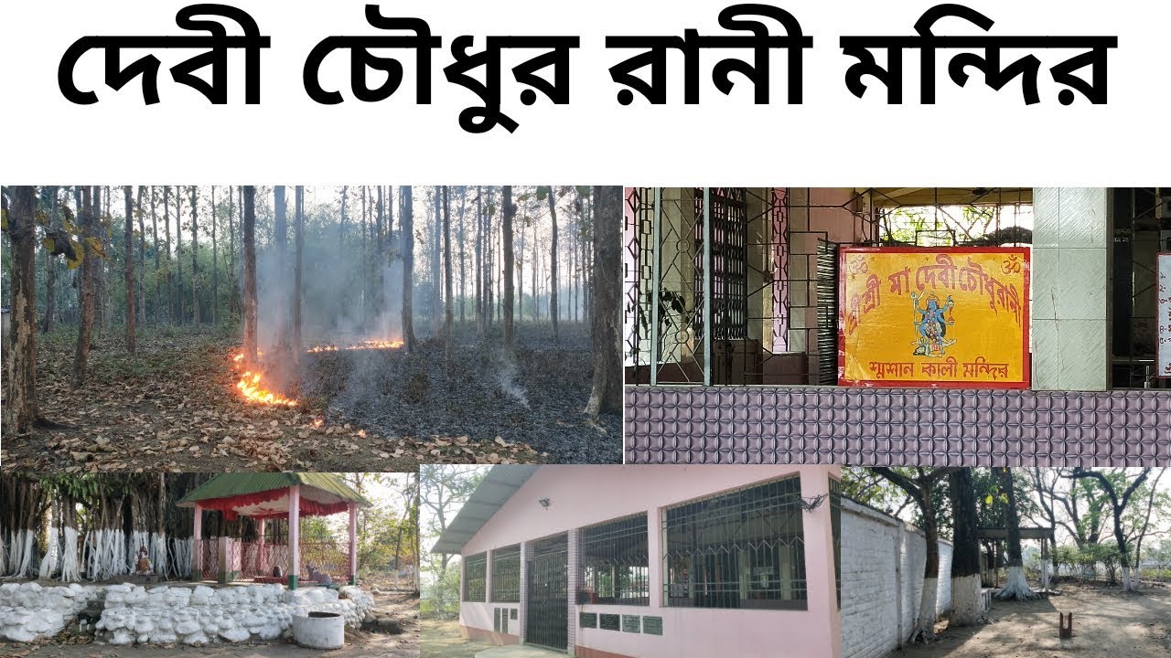 Devi Chaudhu Rani Temple Jalpaiguri || Jalpaiguri Devi Chowdhurani Temple || Shikarpur Forest Mandir
