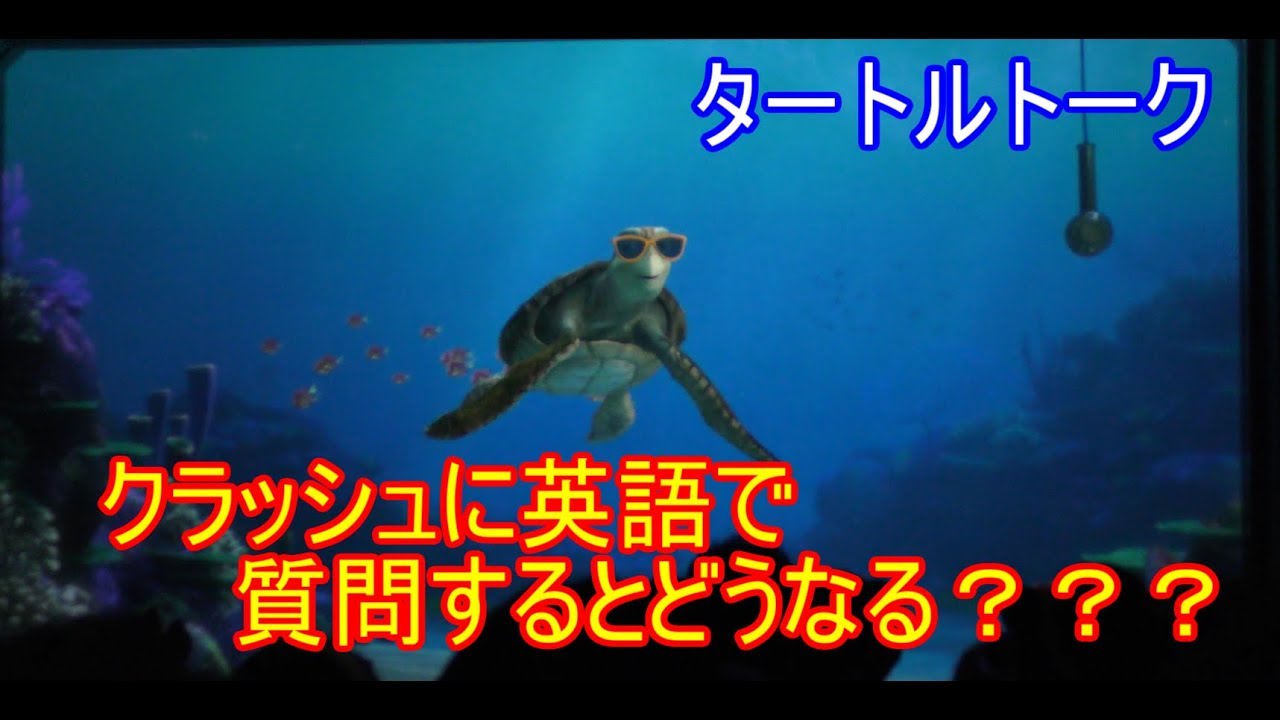 クラッシュに英語で質問するとどうなる？？