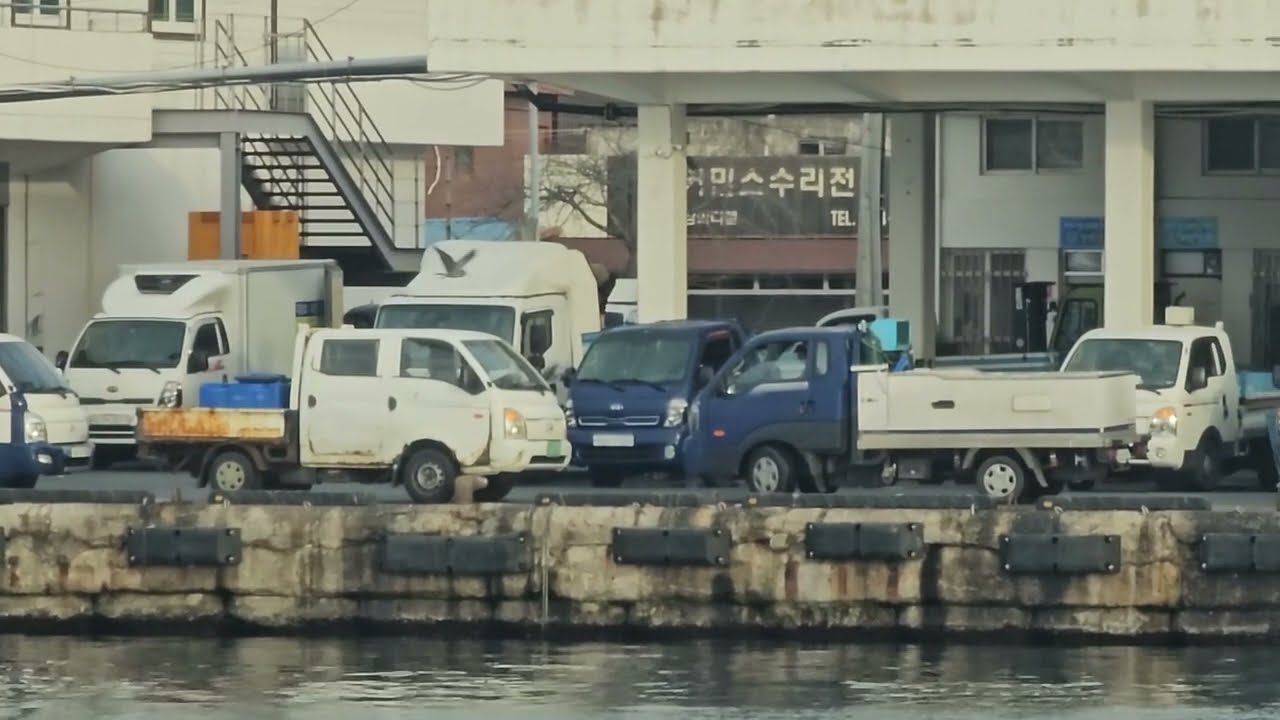 후포 후포항  26년2월