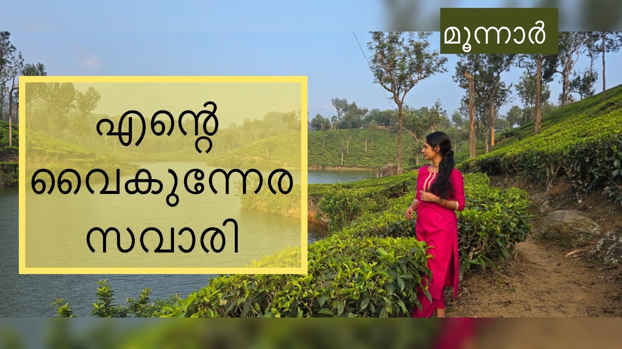 മുന്നാറിലെ വൈകുന്നേരം #munnar