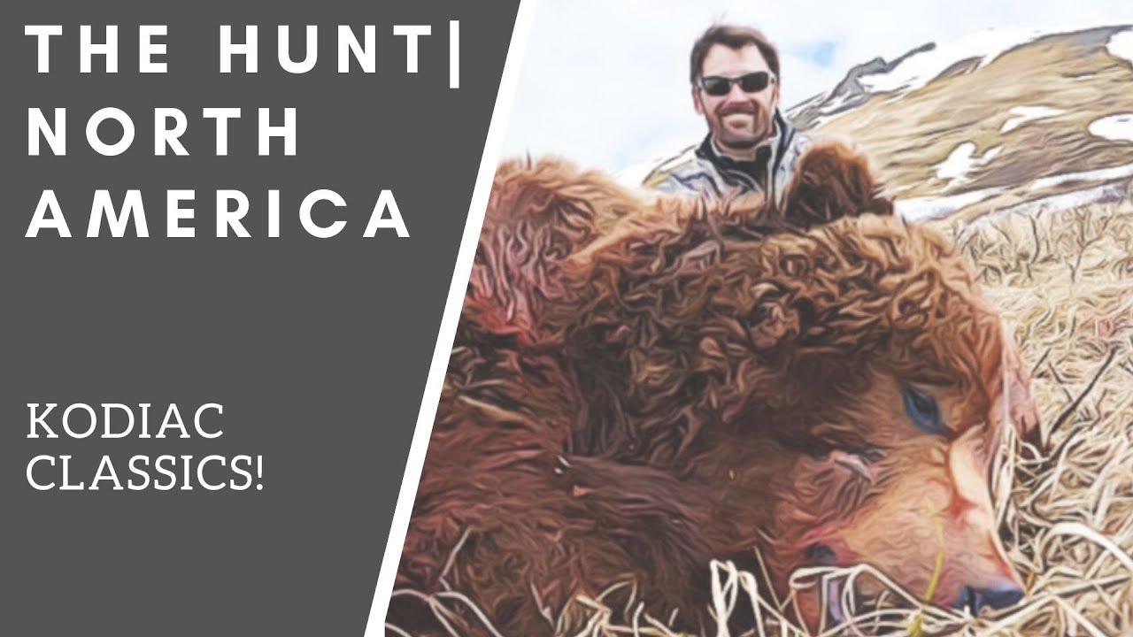 Kodiak Alaska Brown Bear Hunting For Giants! | THE HUNT #brownbear