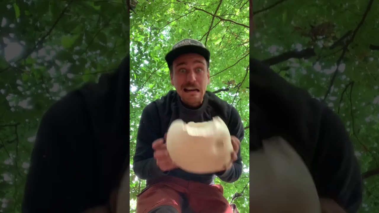 Гигантский дождевик! Вкусный гриб, которым можно поделиться. #собирательство #гигантскийдождевик ...