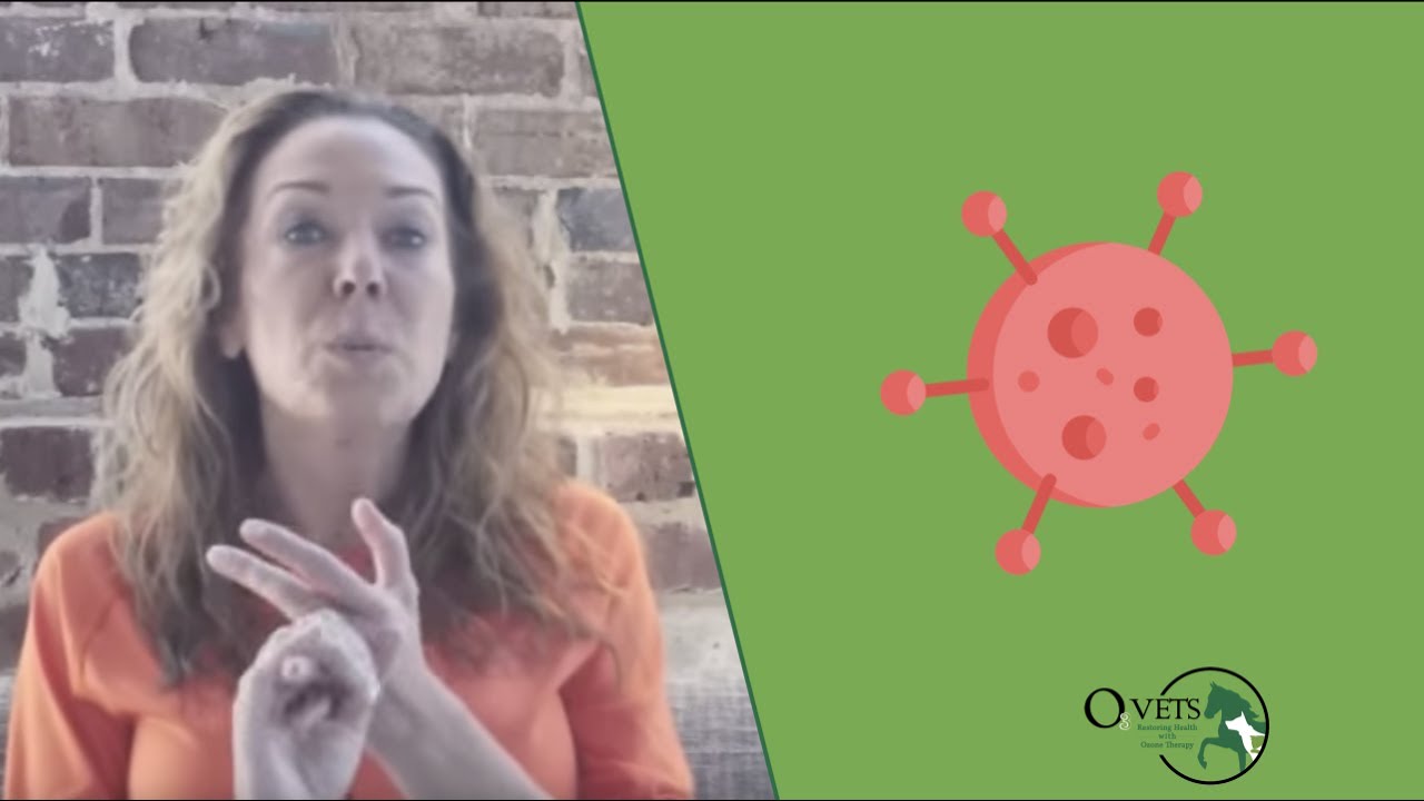 How to treat cancer in pets according to Dr. Karen Becker