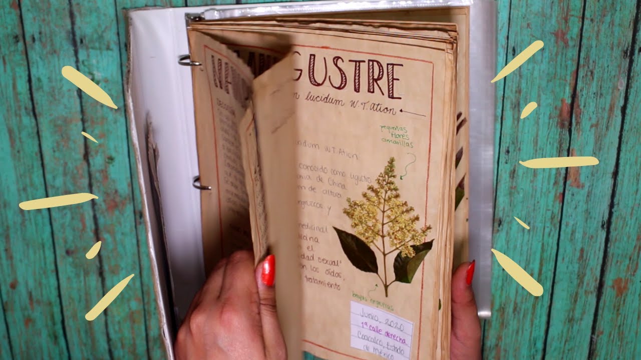 MI HERBARIUM | DIY