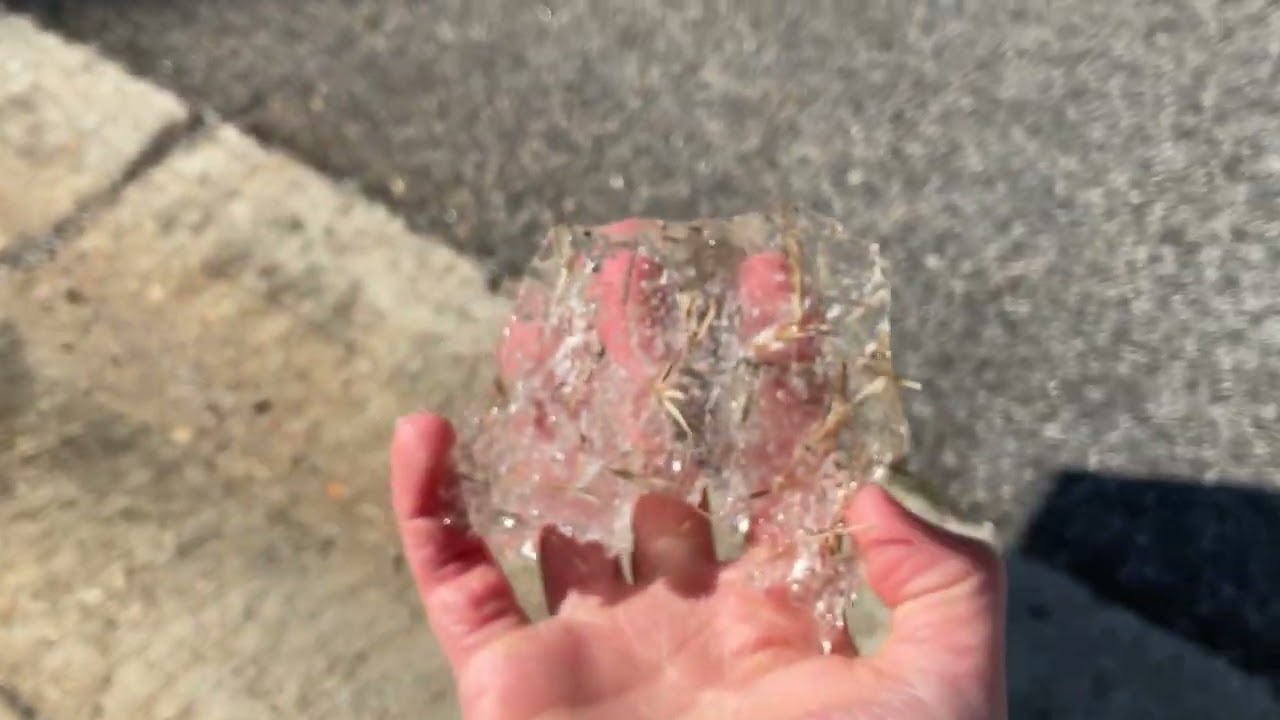 Part three of it’s an icy day!