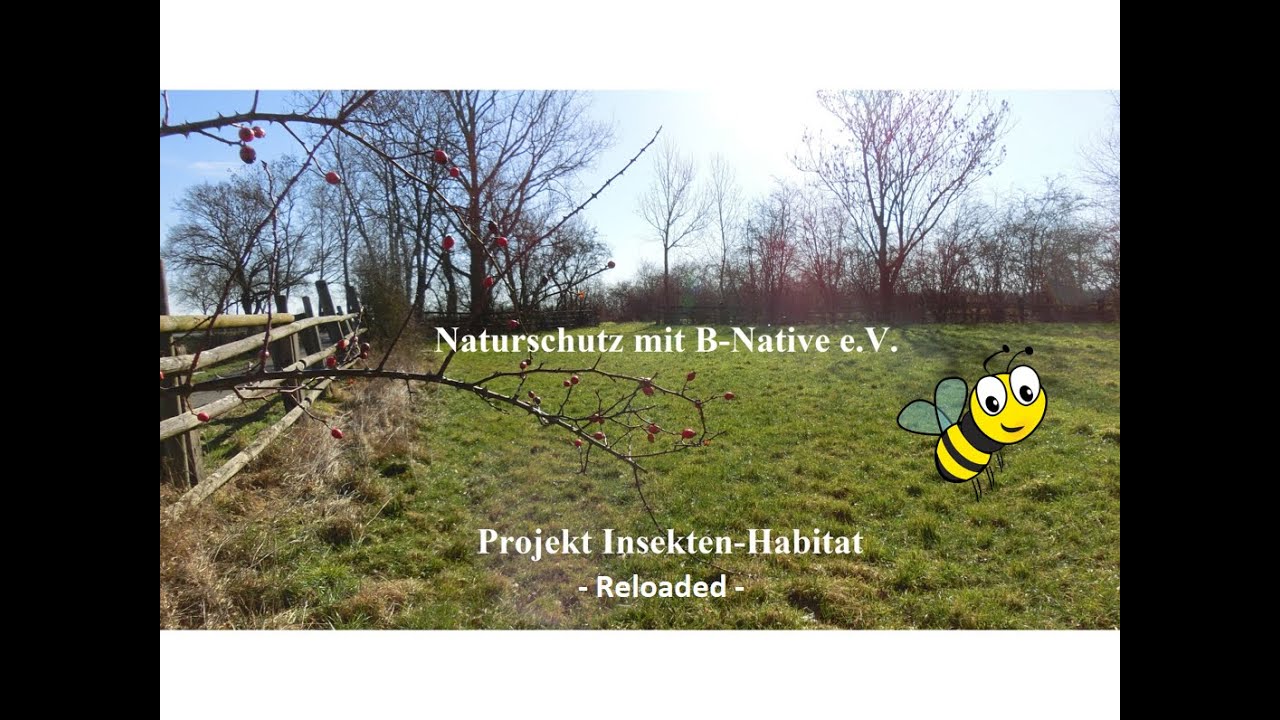 Insekten-Habitat  -Reloaded- *Lebens- und Nahrungsraum * B-Native
