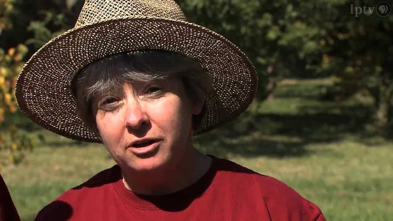 Chestnuts from Red Fern Farm, Wapello, Iowa