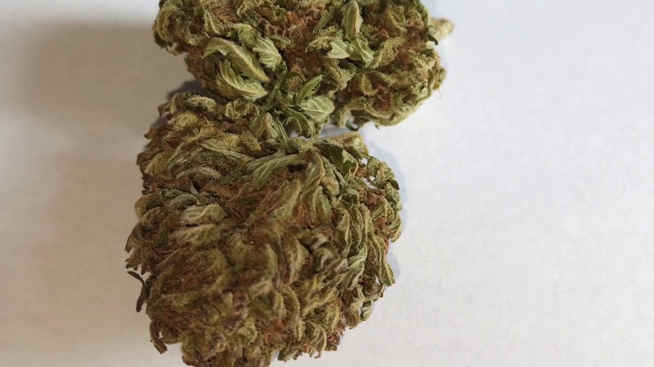 Bubba Kush ⭐ Fleurs de CBD - La Verte Feuille