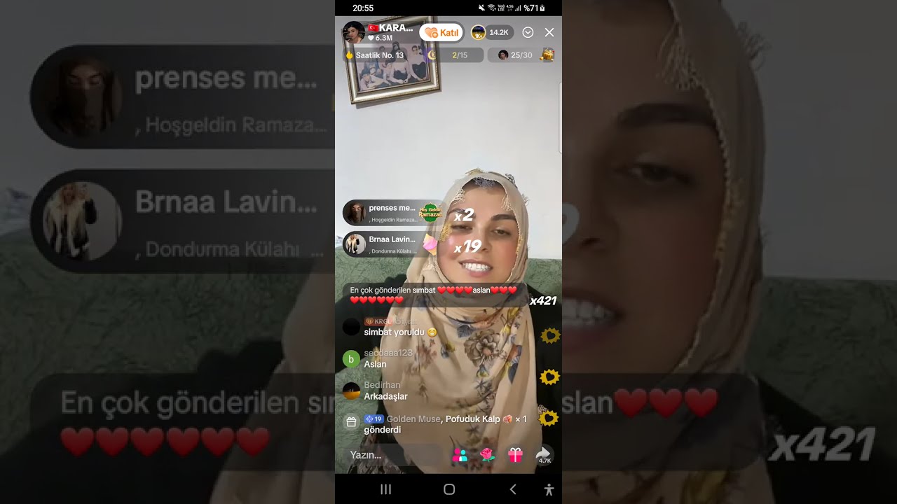 Karagülün çilesi         194