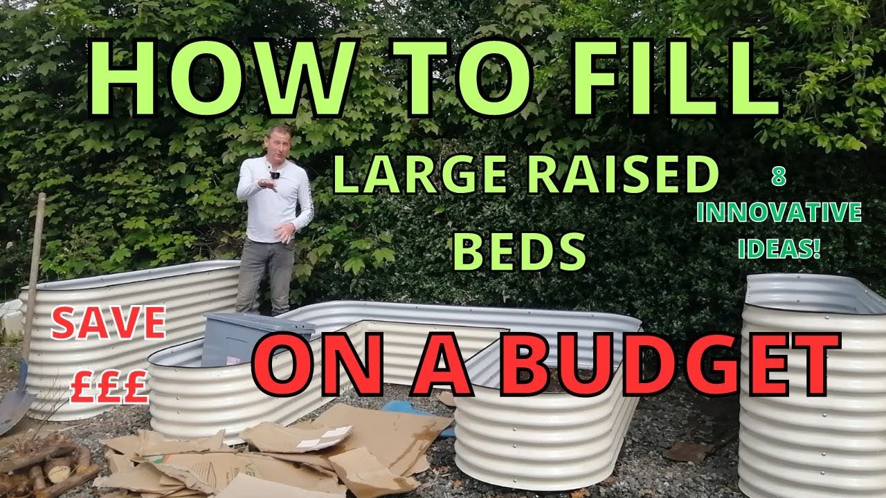 How to fill EXTRA LARGE RAISED BEDS on a budget.