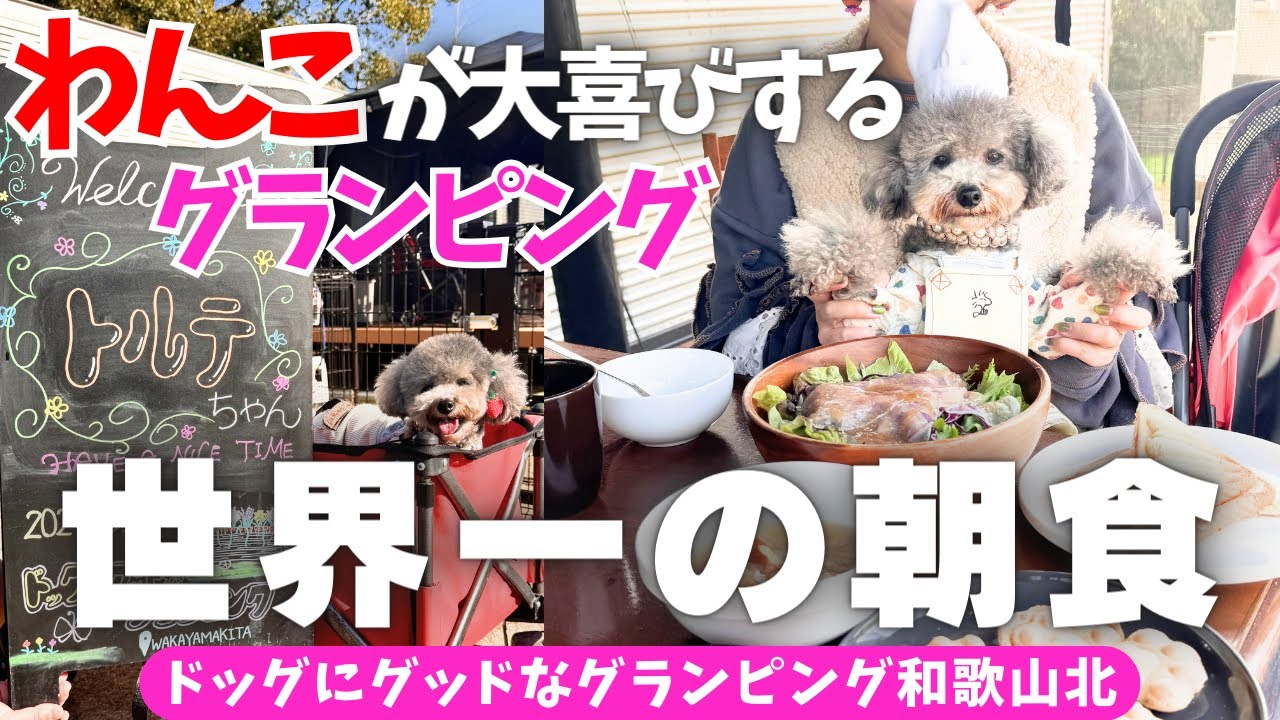 【犬と旅行】愛犬のためのグランピングで【世界一の朝食】と【非日常】を楽しむ一泊二日旅🐶【ドッグにグッドなグランピング和歌山北】