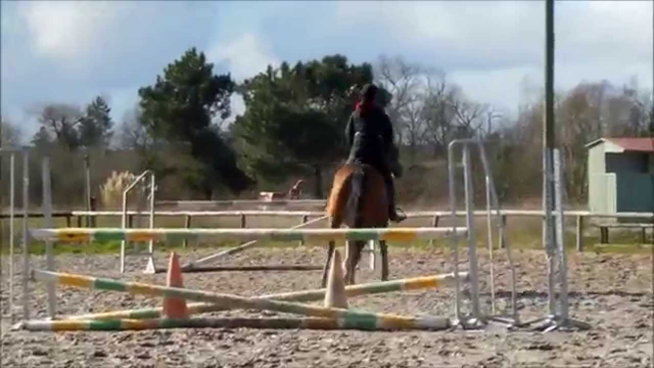 Stage CSO vendredi 21 février 2014 Oxer de Bellevue