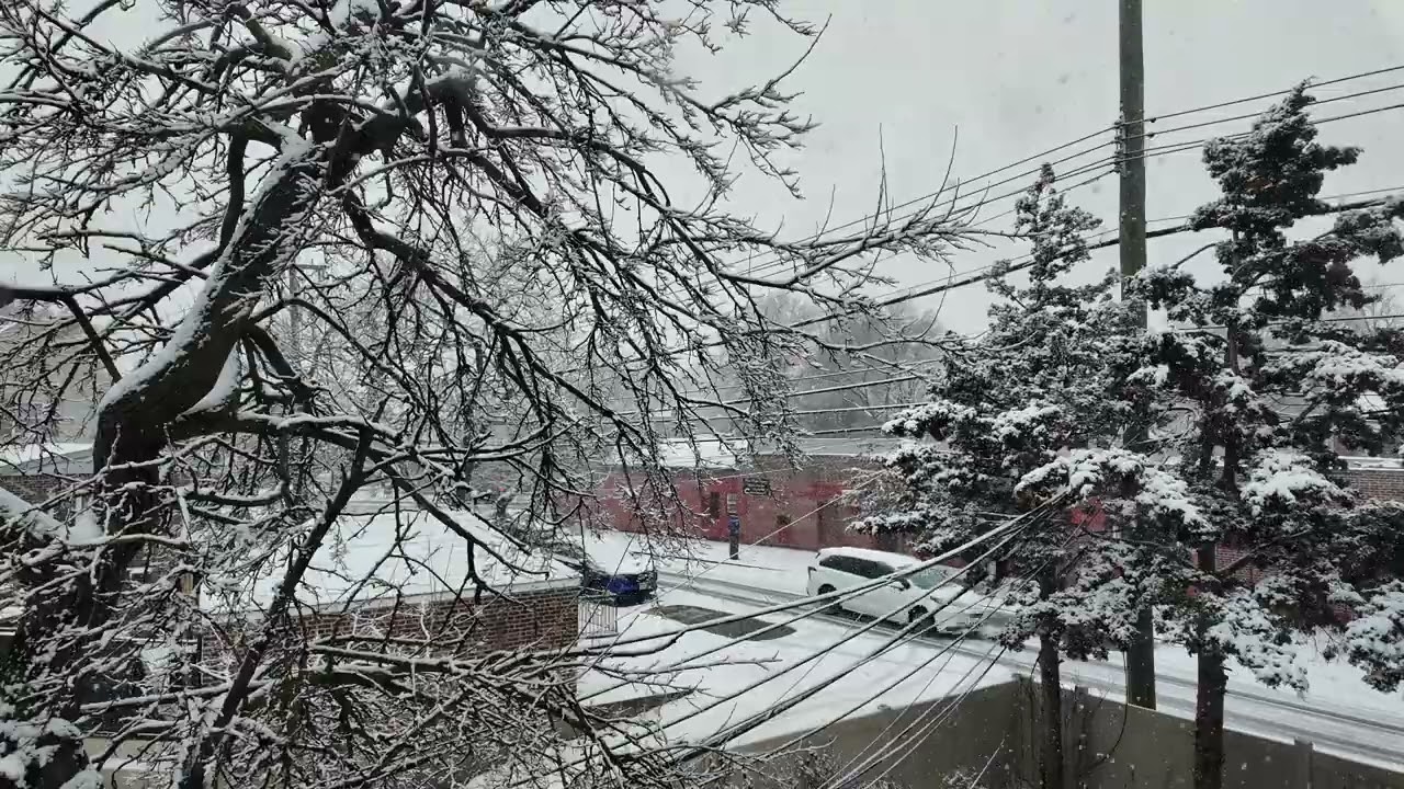 Quiet Snowfall During the Day in Queens | NYC Window View (4K, No Talking)