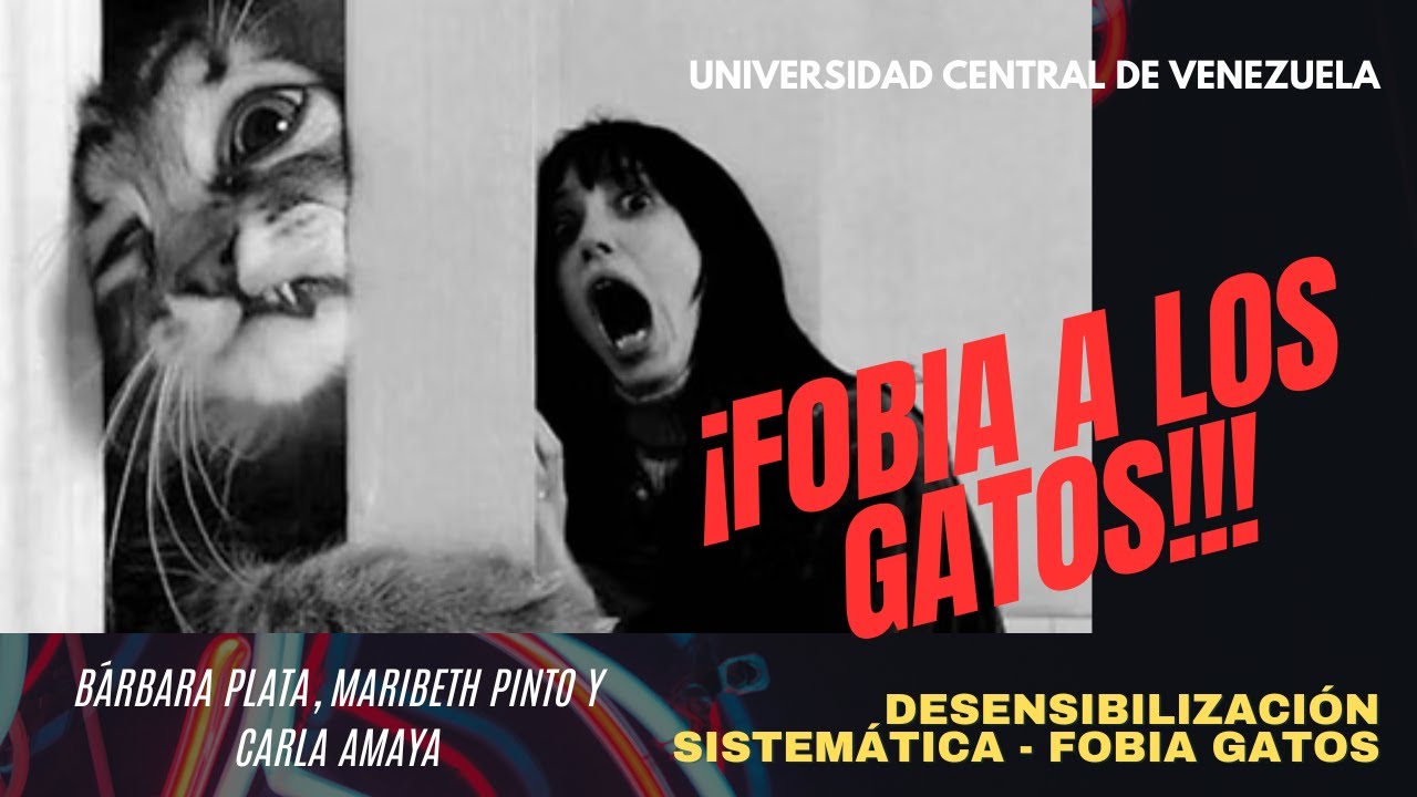 Desensibilización Sistemática paso a paso: Tratamiento de la Fobia a los Gatos - Terapia Conductual