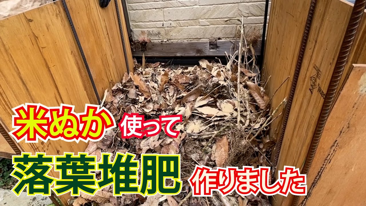 落葉堆肥を作りました　＃コーランネオ　＃堆肥作り