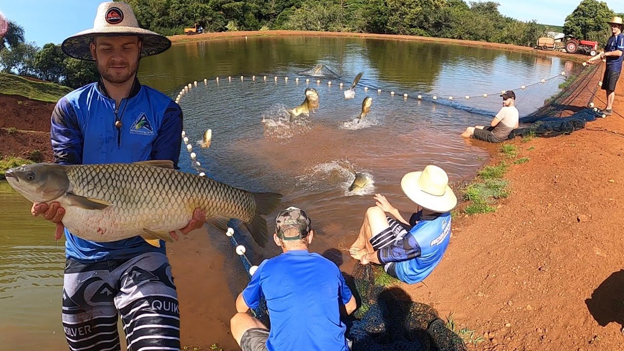 Por pouco essa carpa não me atingiu