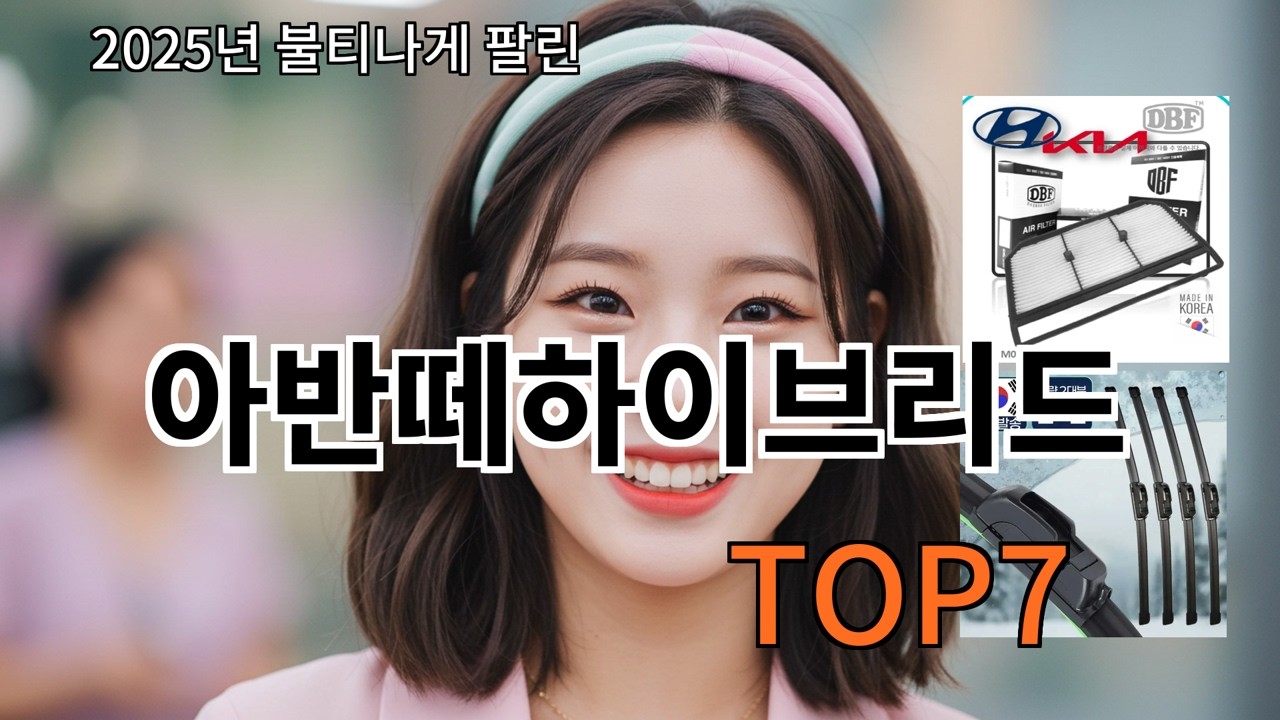 알리 아반떼하이브리드 알리 쇼핑할 때 꼭 보는 아이템