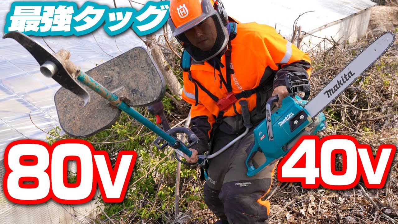 【最強】80V草刈機と40Vチェーンソーで邪魔な草木を伐採する！【マキタ沼】