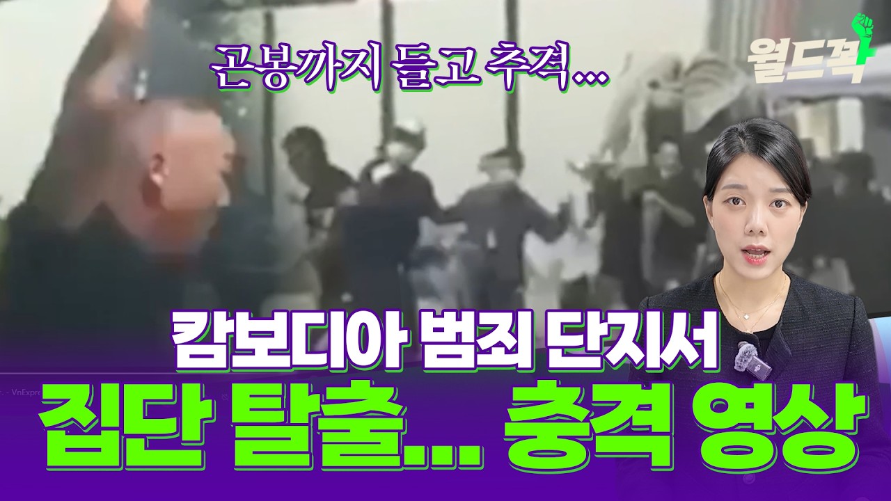 범죄 단지서 집단으로 탈출하는 40명... 캄보디아 범죄 단지 사라지지 않는 이유... 캄보디아 범죄 단지 관련 국제 앰네스티 보고서 분석 [월드꽉]