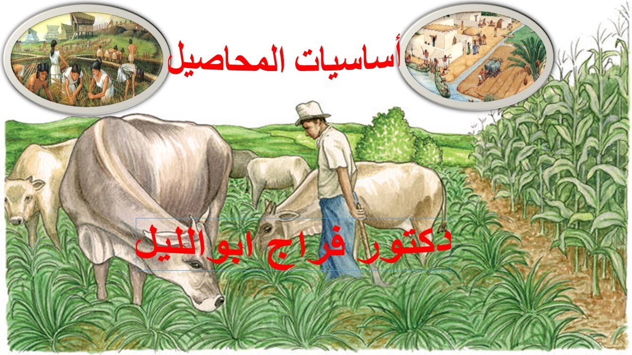 Introduction in Agronomy (أساسيات محاصيل)