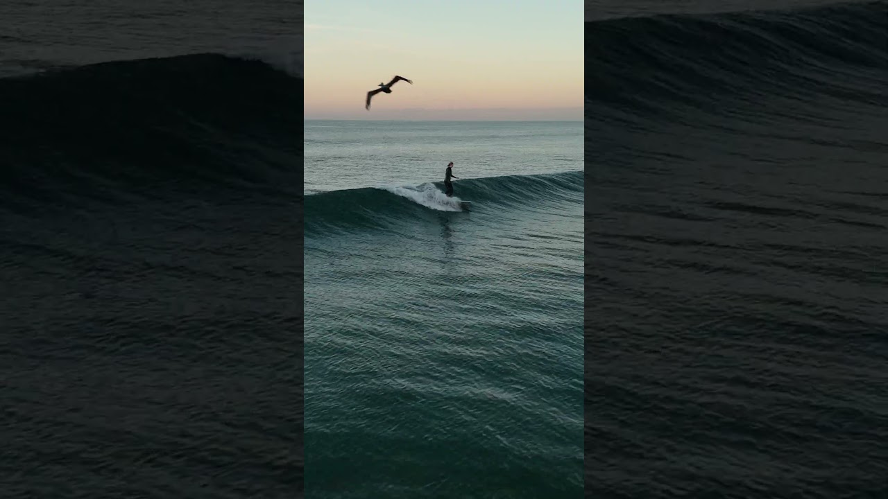 Kookapinto & Degree33 Surfboard Demo with Corey Colapinto // SIP & RIP // Carlsbad Surf