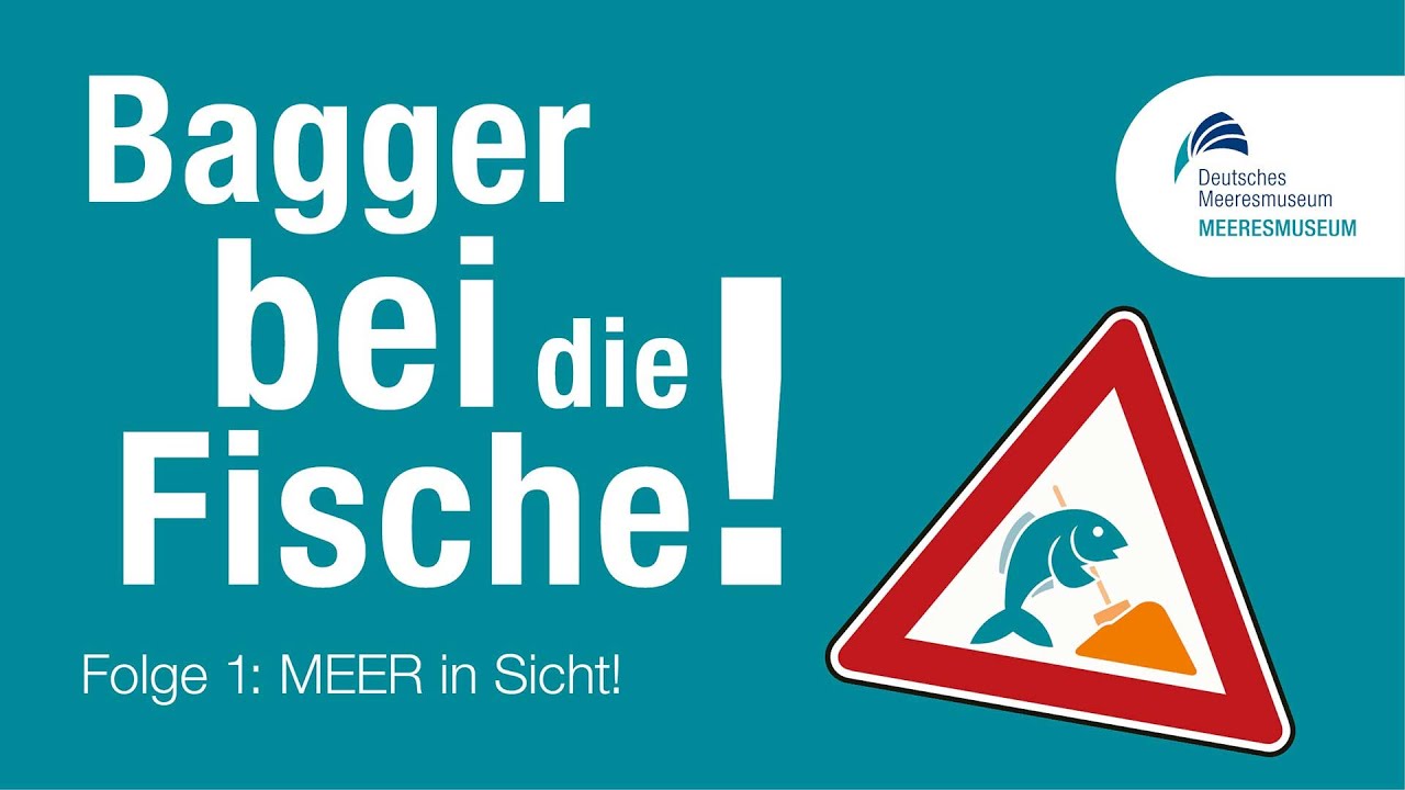 Bagger bei die Fische! | Folge 1: „MEER in Sicht!“