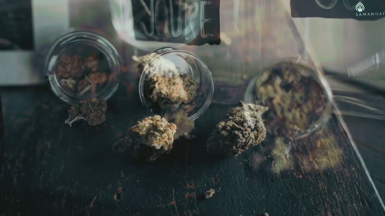 SAMANDAY | CBD SHOP&nbsp;| made in FRANCE