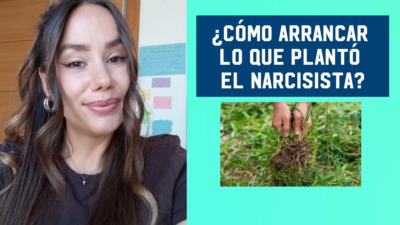 ¿Cómo arrancar lo que plantó el narcisista?