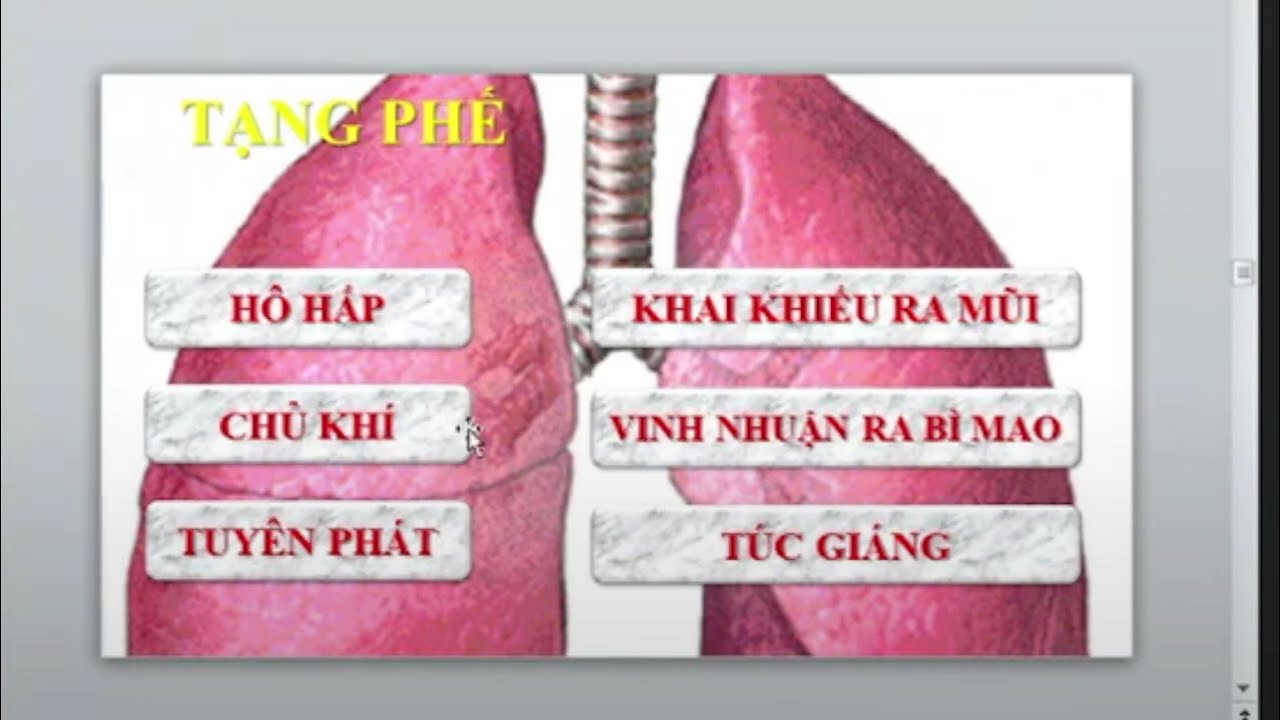 Bệnh học YHCT   Học Thuyết Tạng Tượng P2