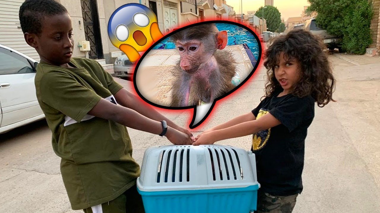 الضفدع سرق عبسي (ايش سوى مؤيد)🔥