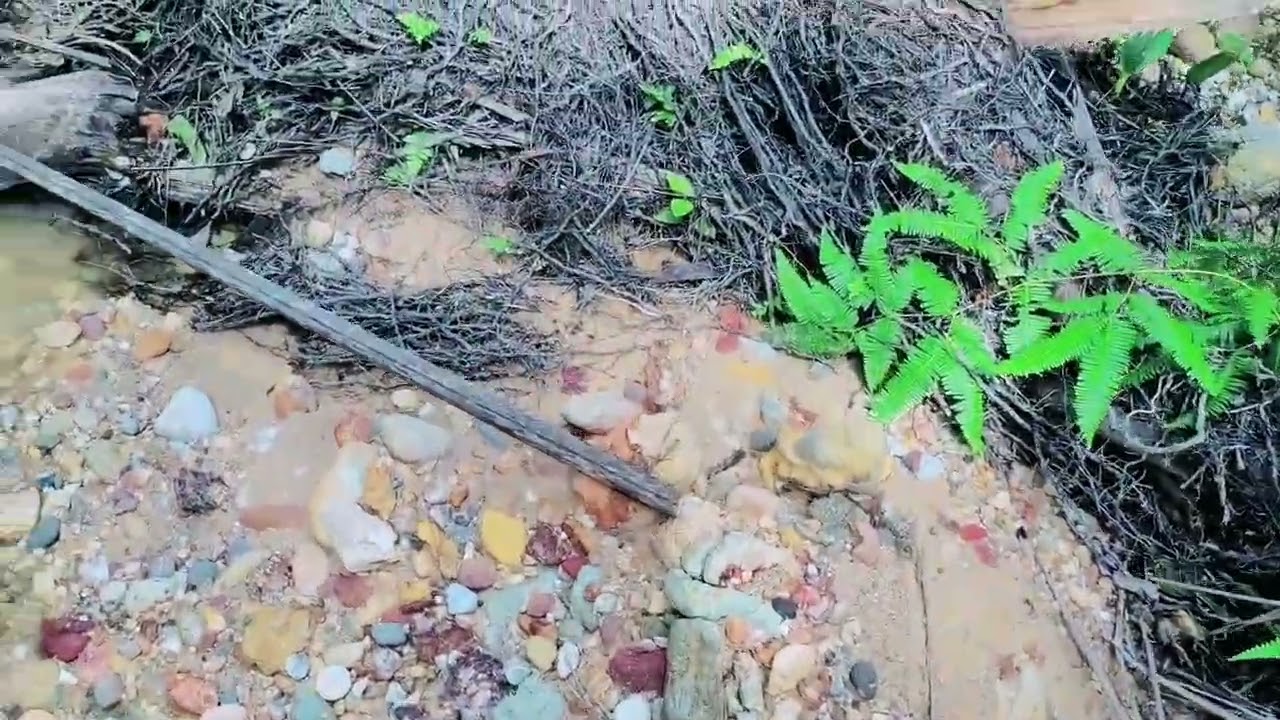 Mencari Batu Akik Di Hutan Sumatera Utara #gems #gemstone 