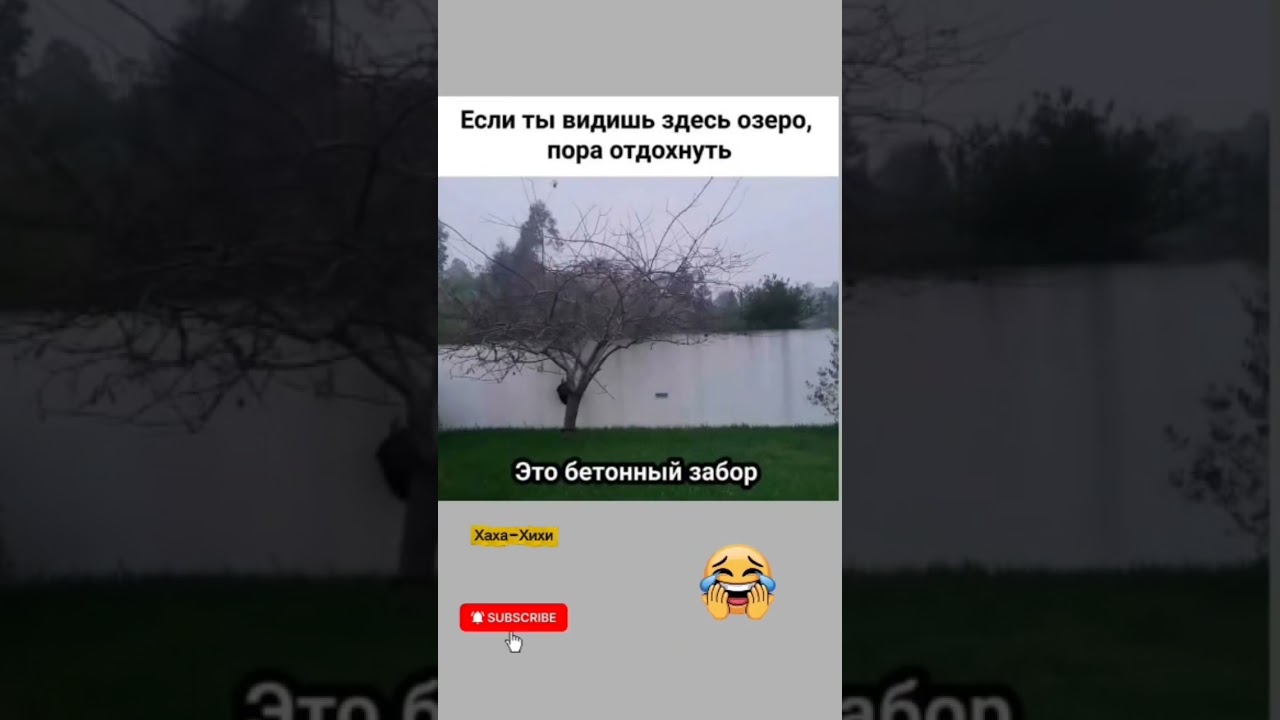 #юмор